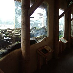 Back from the Brink mammal enclosures at Slimbridge 06/02/10
