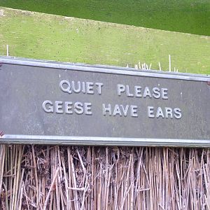 Sign by the Zeiss hide at Slimbridge 06/02/10