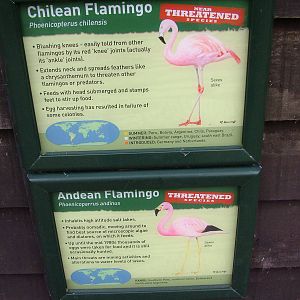 Signage example at Slimbridge 06/02/10