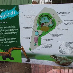 Pond Zone plans at Slimbridge 06/02/10