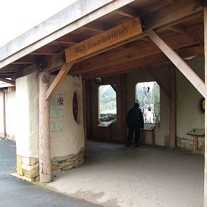 Back from the Brink building at Slimbridge 06/02/10