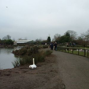General view of Slimbridge 06/02/10