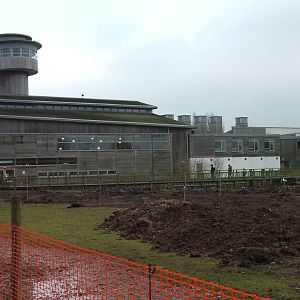 Visitor centre at Slimbridge 06/02/10