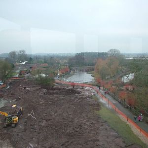 Construction and Close Encounters pool at Slimbridge 06/02/10