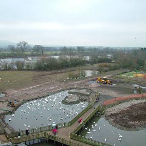 General view of Slimbridge 06/02/10