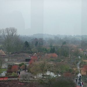 General view of Slimbridge 06/02/10