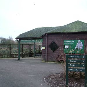 Crane School at Slimbridge 06/02/10