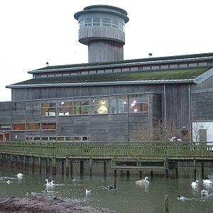 Visitor Centre at Slimbridge 06/02/10