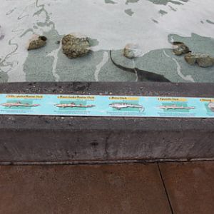 AquarOfPacific - Feb 6, 2010