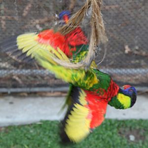 AquarOfPacific - Feb 6, 2010