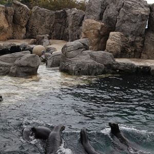 AquarOfPacific - Feb 6, 2010