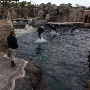 AquarOfPacific - Feb 6, 2010