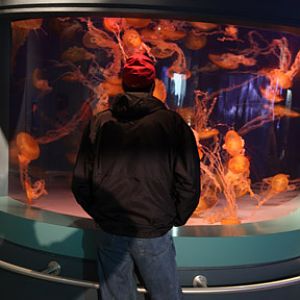 AquarOfPacific - Feb 6, 2010