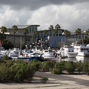 AquarOfPacific - Feb 6, 2010