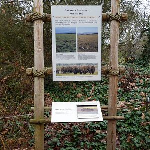 African Savanna - Signage