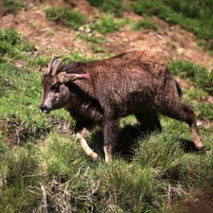 LA Zoo - Feb 7, 2010