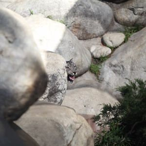 LA Zoo - Feb 7, 2010