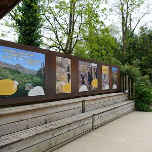 Spectacled bear conservation signs -Bioparc de Doué la Fontaine (2025)