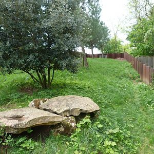 European souslik and Hermann's tortoise exhibit -Bioparc de Doué la Fontaine (2025)