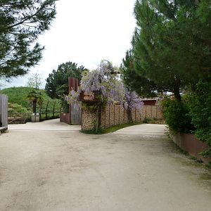 Road thorwards "Le Cratère des carnivores" or "Les Fantômes de l’Himalaya" -Bioparc de Doué la Fontaine (2025)