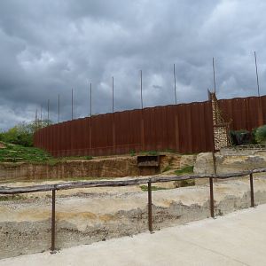 Tajik markhor exhibit -Bioparc de Doué la Fontaine (2025)