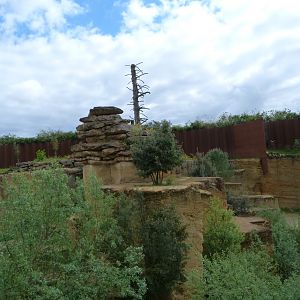 Snow leopard exhibit -Bioparc de Doué la Fontaine (2025)