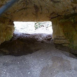 Aardvark and Southern ground hornbill exhibit -Bioparc de Doué la Fontaine (2025)