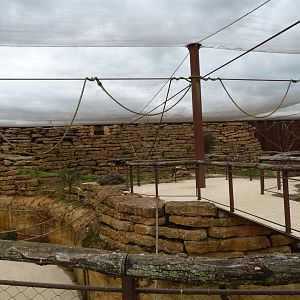 "La Volière africaine" view -Bioparc de Doué la Fontaine (2025)