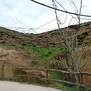 "La Volière africaine" view -Bioparc de Doué la Fontaine (2025)