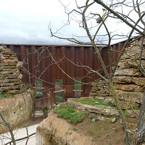 "La Volière africaine" view -Bioparc de Doué la Fontaine (2025)