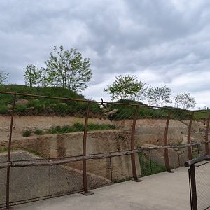 "Le Cratère des carnivores" view -Bioparc de Doué la Fontaine (2025)