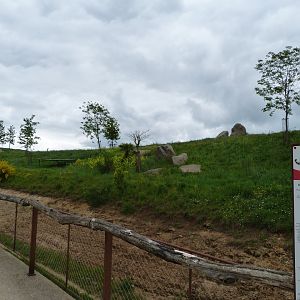 South African cheetah exhibit -Bioparc de Doué la Fontaine (2025)