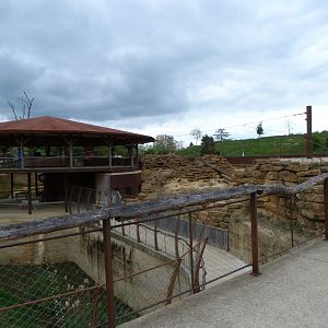 "Le Cratère des carnivores" view -Bioparc de Doué la Fontaine (2025)
