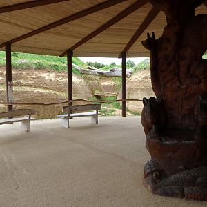 Central viewing area of "Le Cratère des carnivores" -Bioparc de Doué la Fontaine (2025)