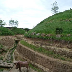 Lion exhibit -Bioparc de Doué la Fontaine (2025)