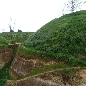 Lion exhibit -Bioparc de Doué la Fontaine (2025)