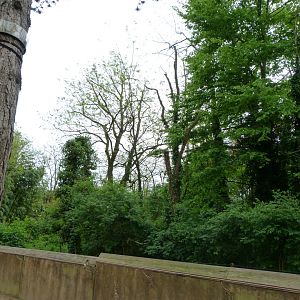 Spectacled bear and Bolivian squirrel monkey exhibit -Bioparc de Doué la Fontaine (2025)