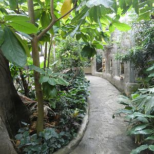 View inside Philippine tropical area