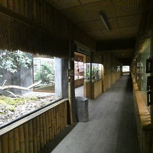 View inside Tropical pavilion