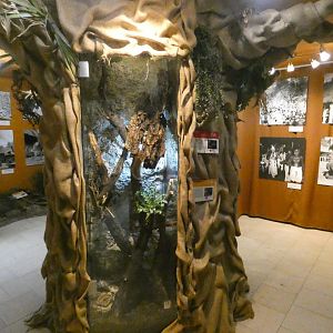 Vivarium in Zikmund and Hanzelka exhibition