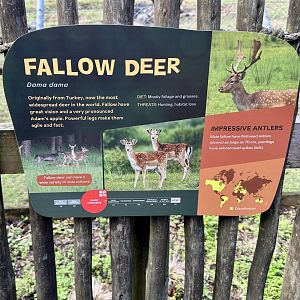 Fallow Deer Signage