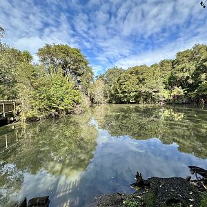 New Zealand Wetlands Exhibit