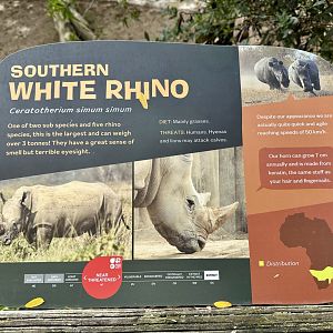 Southern White Rhinoceros Signage