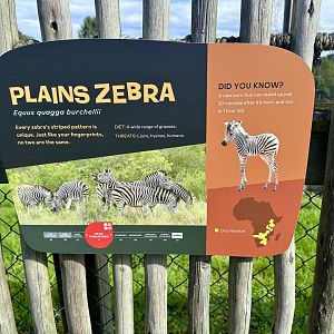 Plains Zebra Signage