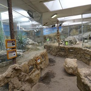 View of Sonora house