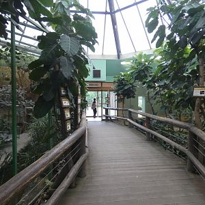 View in pygmy hippo house