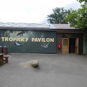 Tropical pavilion entrance