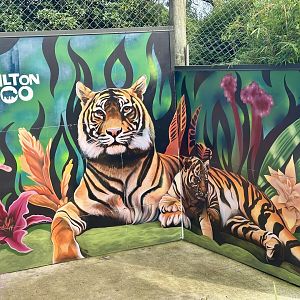 Sumatran Tiger Mural