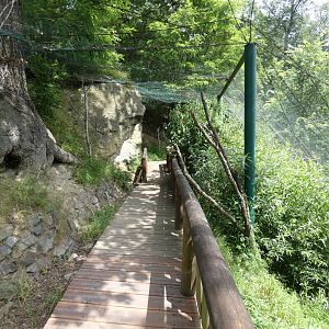 South American aviary