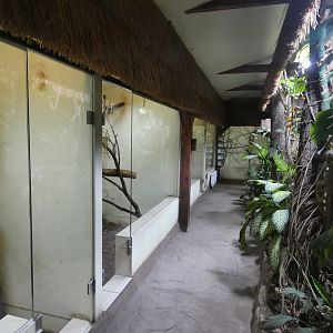 View in South American house